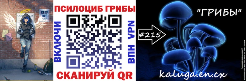 ОМГ ОМГ зеркало Саратов Галлюциногенные грибы Magic Shrooms